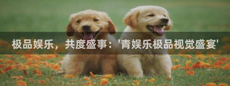jdb电子官网入口app：极品娱乐，共度盛事：\'青娱乐极品视觉盛宴\'