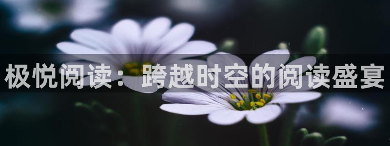 jdb电子哪个好赢钱：极悦阅读：跨越时空的阅读盛宴