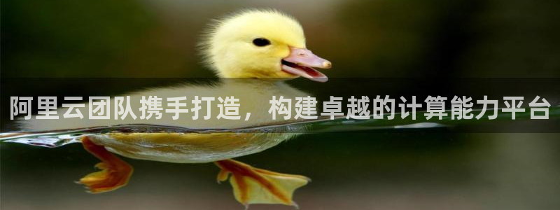 jdb电子平台：阿里云团队携手打造，构建卓越的计算能力平台