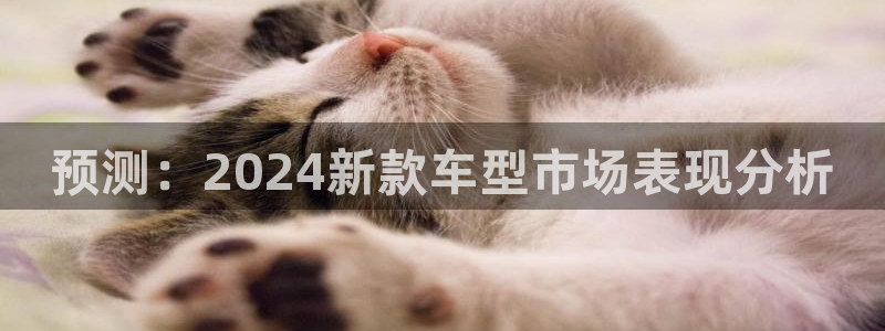 jdb电子首页平台：预测：2024新款车型市场表现分析