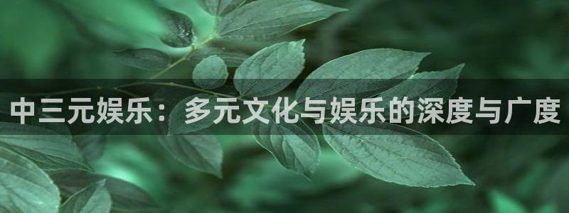 jdb电子平台官网：中三元娱乐：多元文化与娱乐的深度与广度