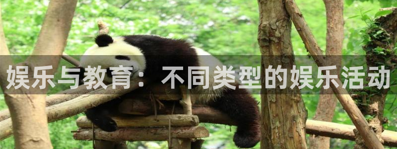 jdb电子魔幻王牌：娱乐与教育：不同类型的娱乐活动