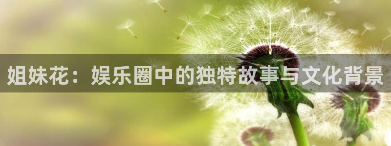 jdb电子在线登录：姐妹花：娱乐圈中的独特故事与文化背景