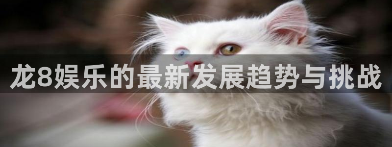 澳门jdb电子游戏：龙8娱乐的最新发展趋势与挑战