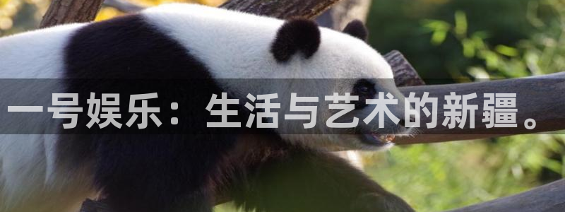jdb电子超级大奖：一号娱乐：生活与艺术的新疆。