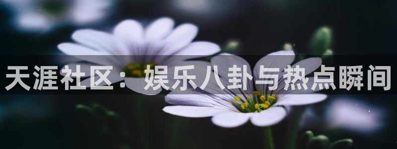 澳门jdb电子游戏：天涯社区：娱乐八卦与热点瞬间