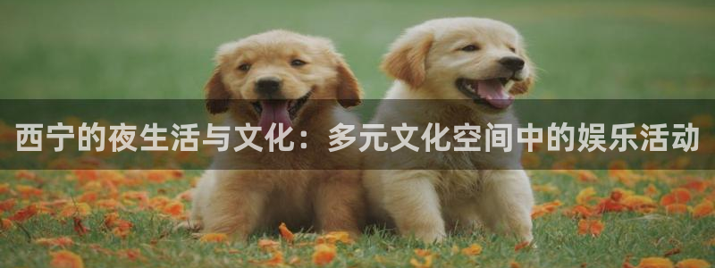 jdb电子首页平台：西宁的夜生活与文化：多元文化空间中的娱乐活动
