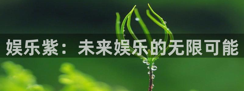 jdb电子哪个游戏容易爆大奖：娱乐紫：未来娱乐的无限可能