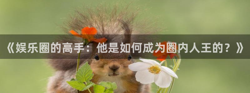 jdb电子平台：《娱乐圈的高手：他是如何成为圈内人王的？》