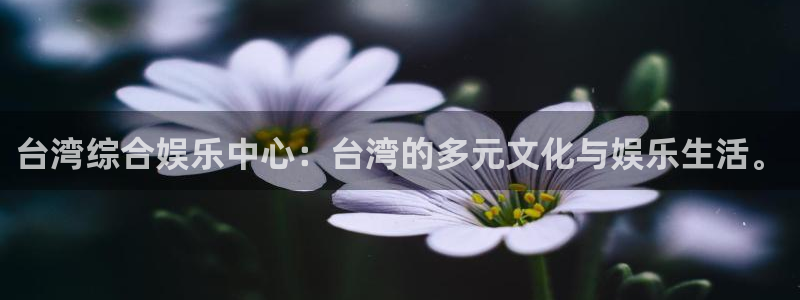 jdb官网：台湾综合娱乐中心：台湾的多元文化与娱乐生活。