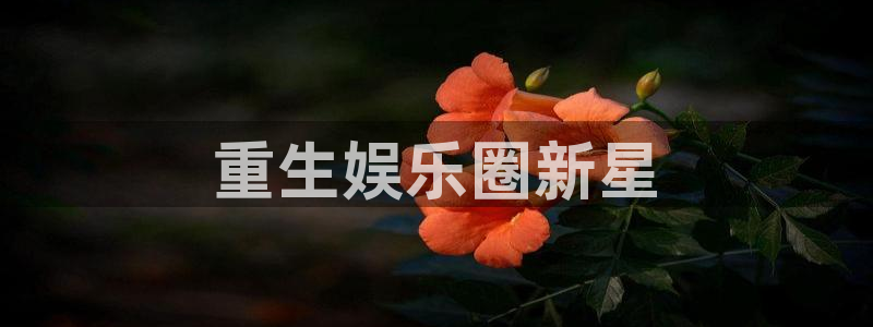 jdb容易赢的游戏：重生娱乐圈新星