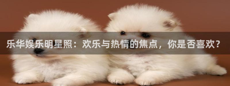 澳门jdb电子游戏：乐华娱乐明星照：欢乐与热情的焦点，你是否喜欢？