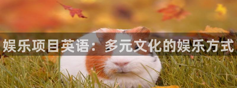 jdb电子夺宝在线试玩：娱乐项目英语：多元文化的娱乐方式