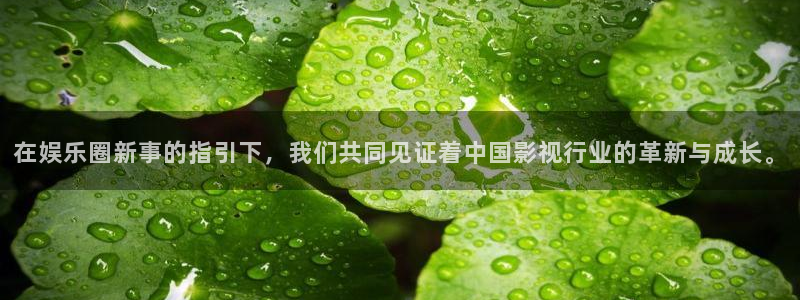 jdb电子台湾黑熊：在娱乐圈新事的指引下，我们共同见证着中国影视行业的革新与成长。