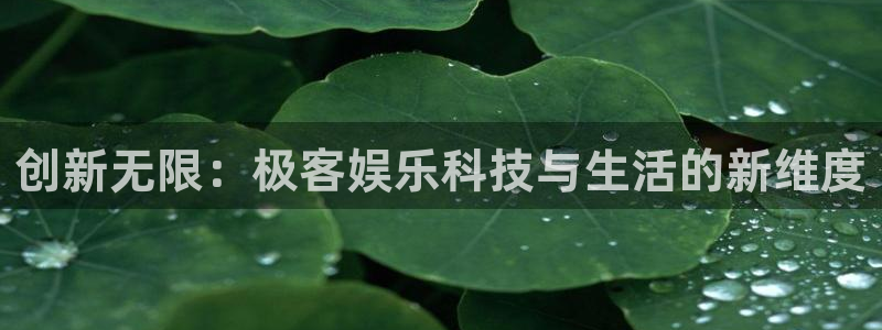 jdb电子龙王：创新无限：极客娱乐科技与生活的新维度