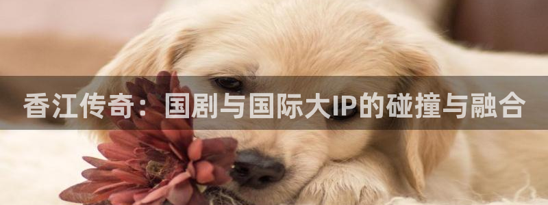 jdb电子游戏哪个容易赢：香江传奇：国剧与国际大IP的碰撞与融合