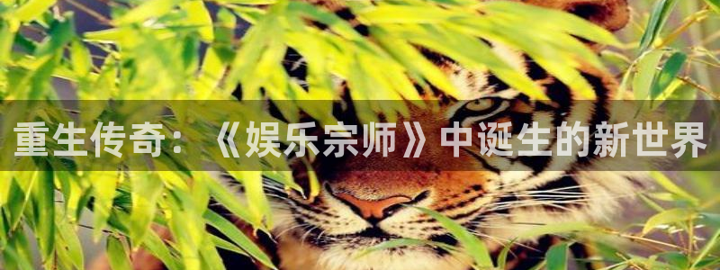 jdb电子哪个游戏好：重生传奇：《娱乐宗师》中诞生的新世界