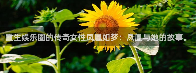 jdb电子魔术秀：重生娱乐圈的传奇女性凤凰如梦：凤凰与她的故事。