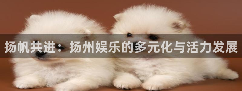 jdb电子龙王：扬帆共进：扬州娱乐的多元化与活力发展