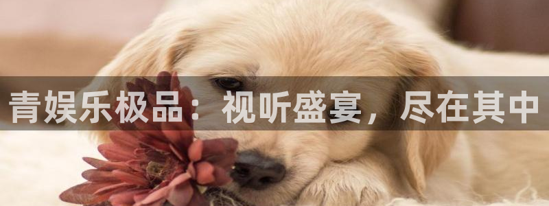 jdb电子变脸破解：青娱乐极品：视听盛宴，尽在其中
